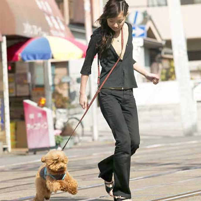 �緿���ѥ꡼�ɡ�ASHU��STEP�����ƥåס���way�꡼�ɡ�L���������淿�����緿����