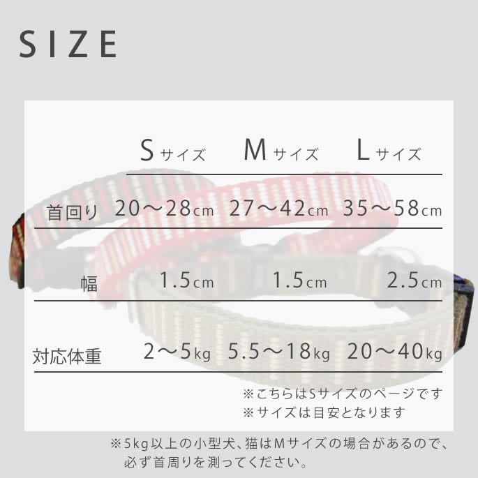 �������Ѽ��ء�ASHU��STEP�����ƥåס����顼��S������