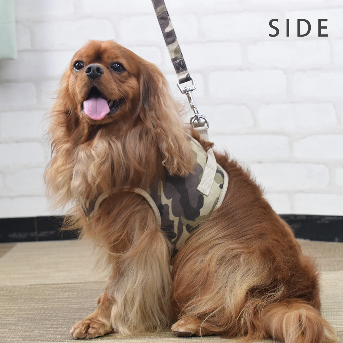 ѥϡͥ淿ASHUϡͥº̡åȡLL