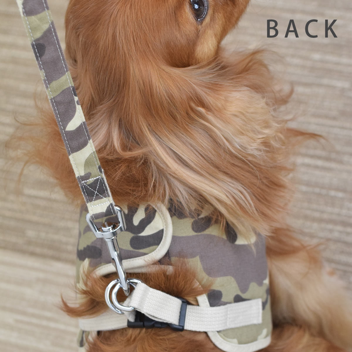 ѥϡͥ淿ASHUϡͥº̡åȡLL