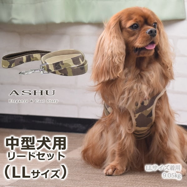 ѥϡͥ淿ASHUϡͥº̡åȡLL