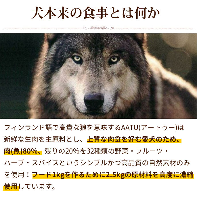 AATUʥȥ   ɥåա 5kg/10kga0338ۢ2025ǯ10ʹ߽缡˥塼