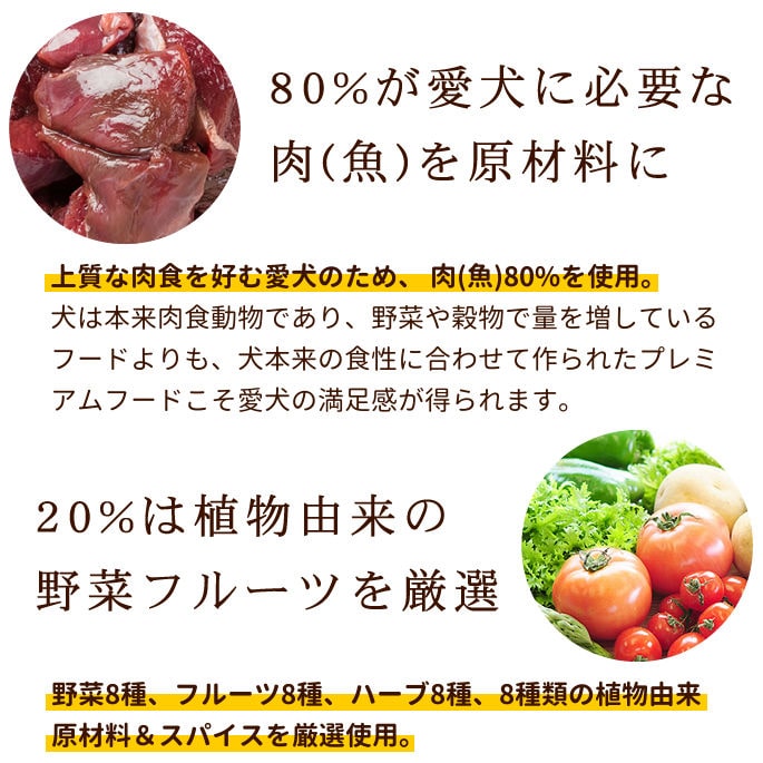 AATUʥȥ   ɥåա 5kg/10kga0338ۢ2025ǯ10ʹ߽缡˥塼