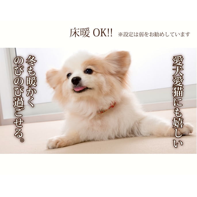 ���太�������饯�饯�ޥåȡ�60��120cm��1��