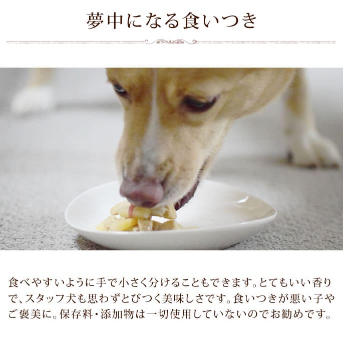 �����ѥإ륷�����ںڡ������Ȥ��Ĥް�μѹ���5�ޥ��å�