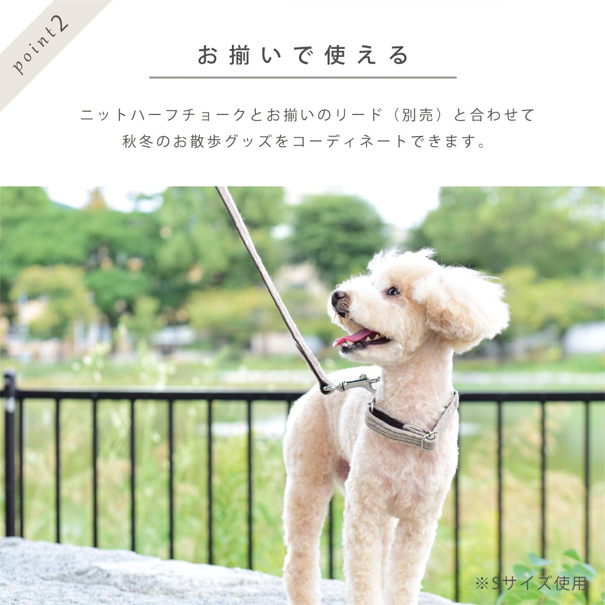 ASHU ���� �˥å� �ϡ��ե��硼�� M���������淿����