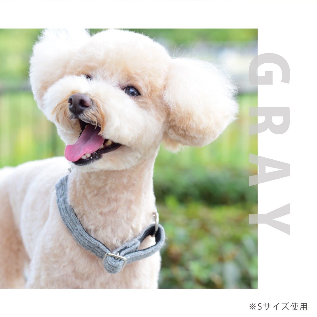 ASHU ���� �˥å� �ϡ��ե��硼�� M���������淿����