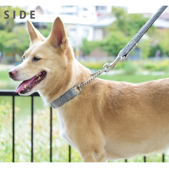 ASHU ���� �˥å� �ϡ��ե��硼�� M���������淿����