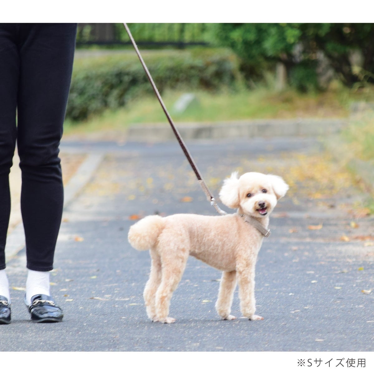 ASHU ���� �˥å� �ϡ��ե��硼�� M���������淿����