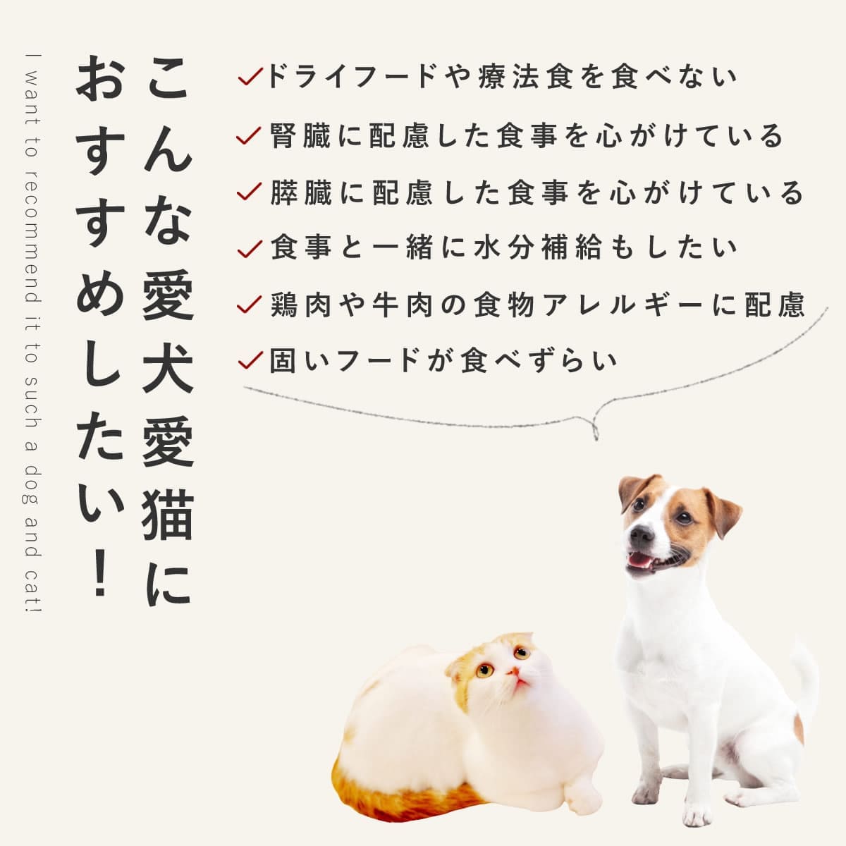 ������ǭ�� ���ꤴ�Ϥ� �����Υ��꡼���6��/12��/24��/���å� �ڥϥ���ɥ��࿩Ʋ�ۡ������ء�