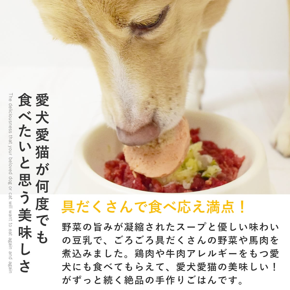 ������ǭ�� ���ꤴ�Ϥ� �����Υ��꡼���6��/12��/24��/���å� �ڥϥ���ɥ��࿩Ʋ�ۡ������ء�