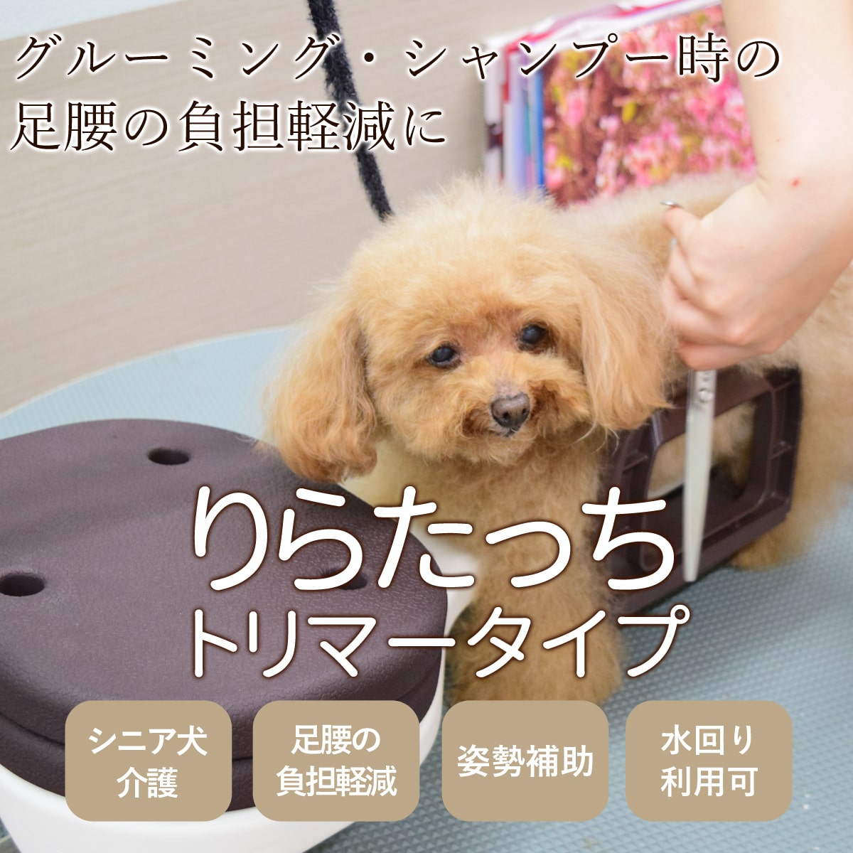 ڤ󤻡   餿ä ȥޡ ڻ­ôڸۡڢϤޤ714ۤɤ礬ޤ