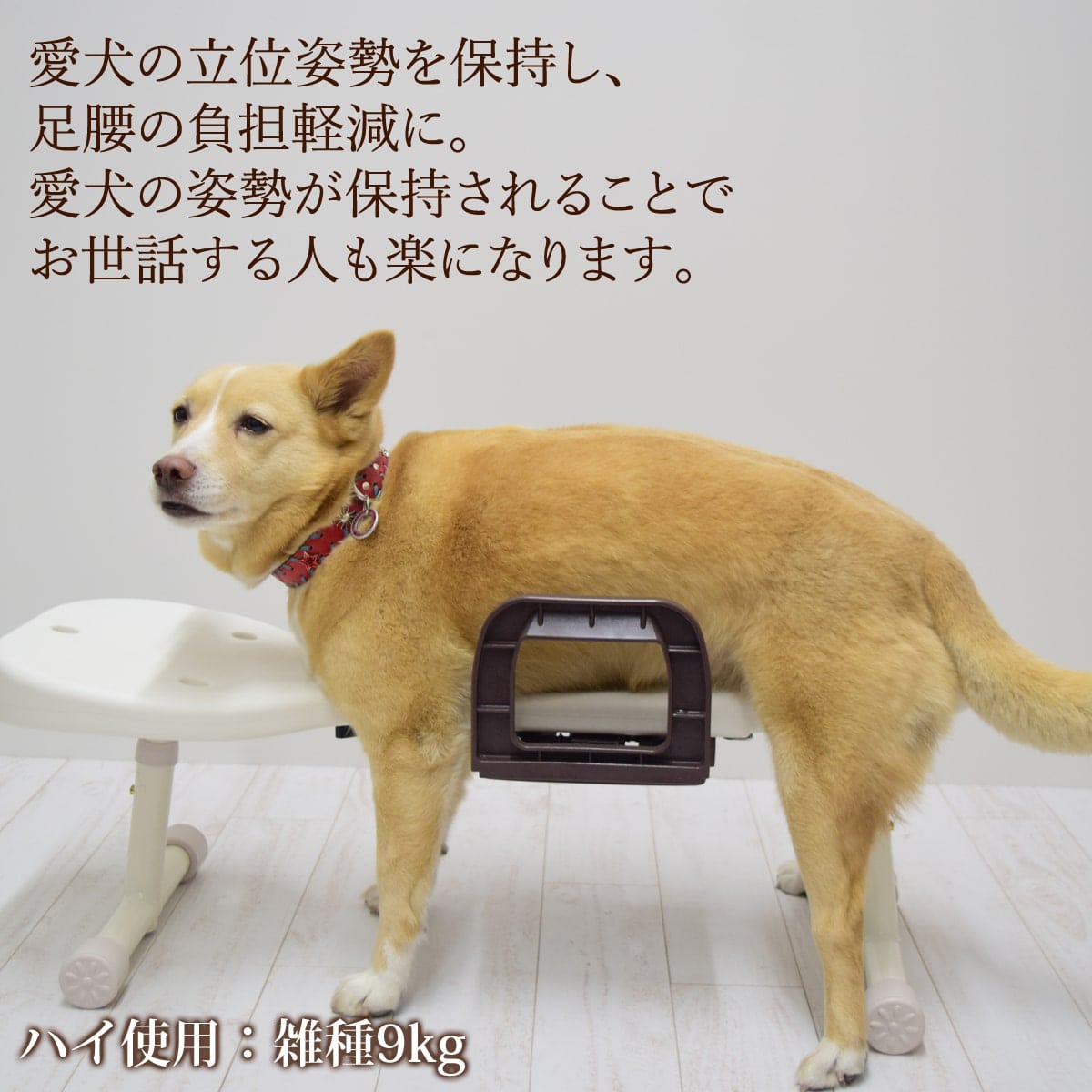 犬用立位保定・介護ベッド　リラクッションM 愛犬用ベッド】 リラクッション S～Lブラウン/LL