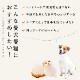 �ڤޤȤ��㤤�ǥ��ޥ��դ��� �񴬤����奦�ޥ�18��+3�ĥ��å� �������ء� �ڥϥ���ɥ��࿩Ʋ��