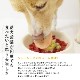 �ڤޤȤ��㤤�ǥ��ޥ��դ��� �񴬤����奦�ޥ�18��+3�ĥ��å� �������ء� �ڥϥ���ɥ��࿩Ʋ��