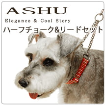 �淿���ѥϡ��ե��硼����ASHU��STEP�����ƥåס��ϡ��ե��硼�����꡼�ɡ�M���������å�