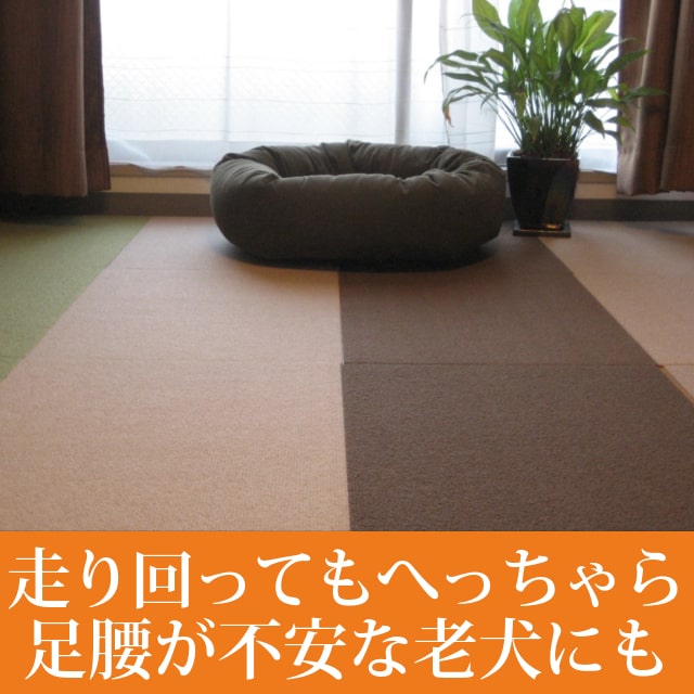 ��������������奿����ޥåȡ���Ƚ��60��45cm����������