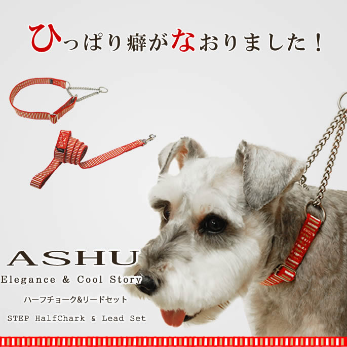 Chien Mechant 本皮ハーフチョーク&本皮リードセット Chien Mechant 本皮ハーフチョーク&本皮リードセット 犬の首輪