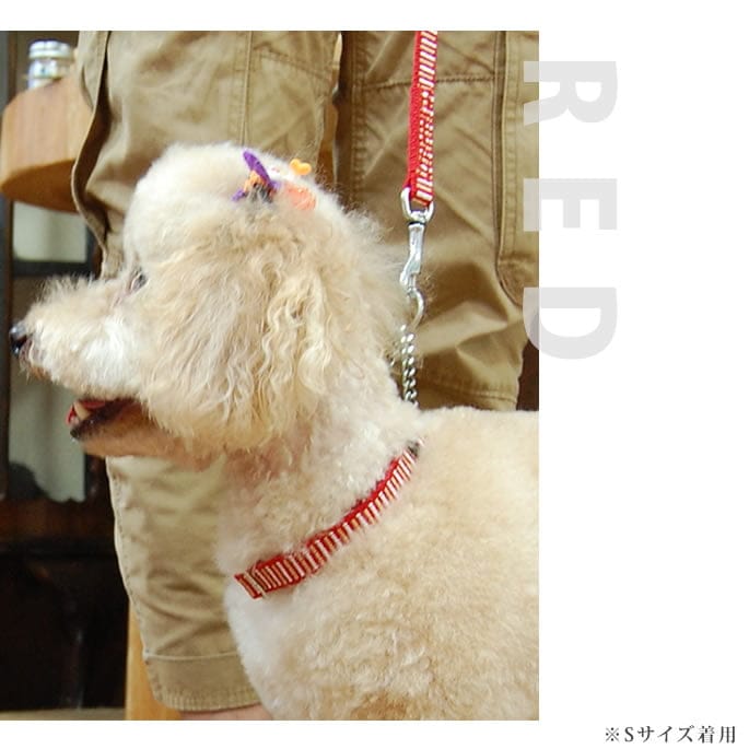 中型犬用ハーフチョーク｜ASHU STEP ステップ ハーフチョーク＆リード