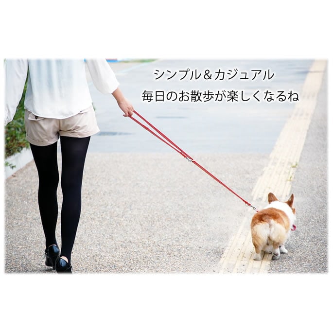 中型犬用ハーフチョーク｜ASHU STEP ステップ ハーフチョーク＆リード