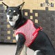 �淿���ѥϡ��ͥ���ASHU���������ϡ��ͥ� �ܡ����� LL�������ڥ꡼�ɤ�������