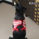 �淿���ѥϡ��ͥ���ASHU���������ϡ��ͥ� �ܡ����� LL�������ڥ꡼�ɤ�������