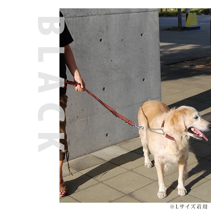 �������ѥ꡼�ɡ�ASHU��STEP�����ƥåס���way�꡼�ɡ�S������