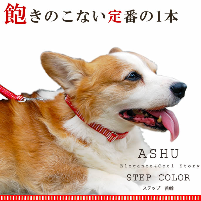 �淿���Ѽ��ء�ASHU��STEP�����ƥåס����顼��M������