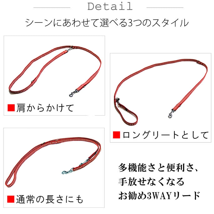 �������ѥ꡼�ɡ�ASHU��STEP�����ƥåס���way�꡼�ɡ�S������