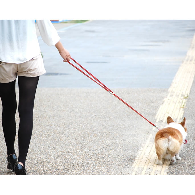 �������ѥ꡼�ɡ�ASHU��STEP�����ƥåס���way�꡼�ɡ�S������