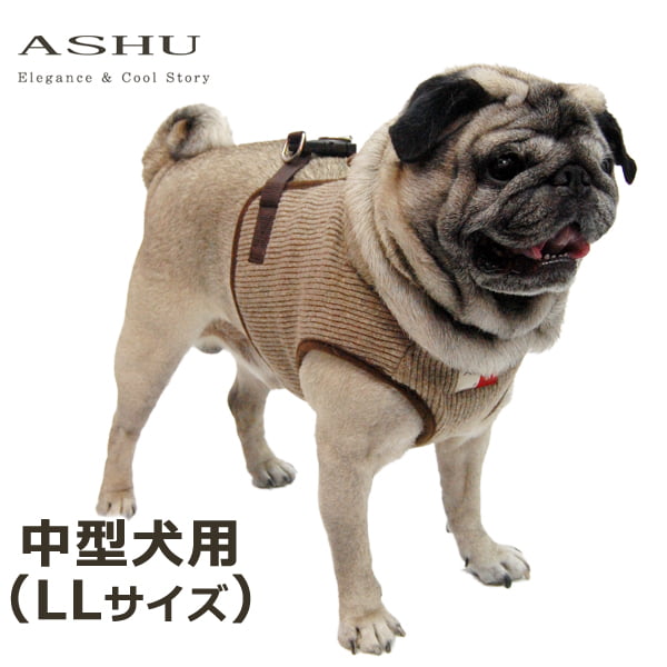 ���ѥϡ��ͥ����淿����ASHU���˥åȥ������ϡ��ͥ���LL�������ڥ꡼�ɤ�������