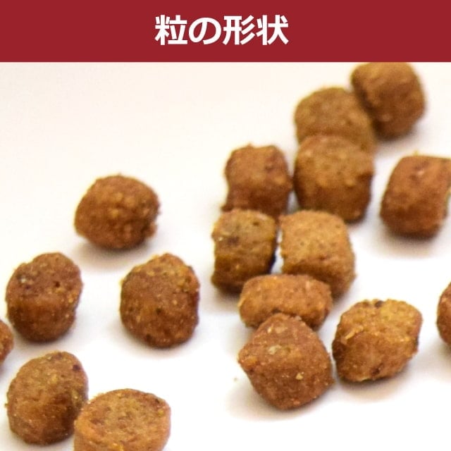 アニモンダ 猫インテグラプロテクト ニーレン(腎臓ケア療法食) 【鶏