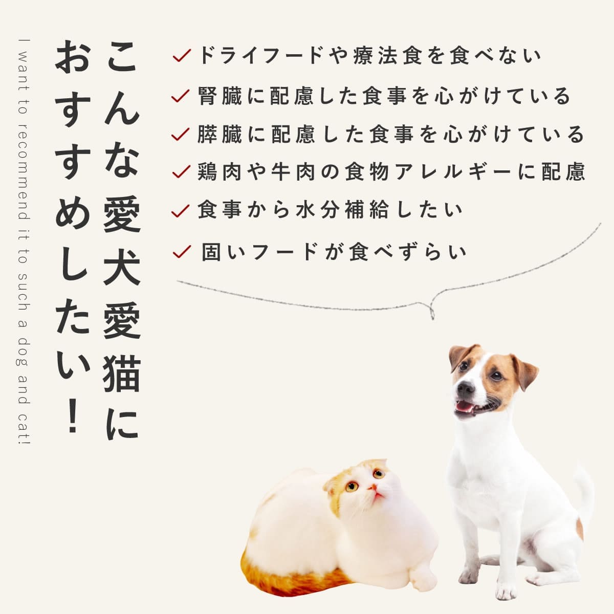 ������ǭ�� ���ꤴ�Ϥ� ���������������륭��٥� 6��/12��/24��/���å� �ڥϥ���ɥ��࿩Ʋ�ۡ������ء�