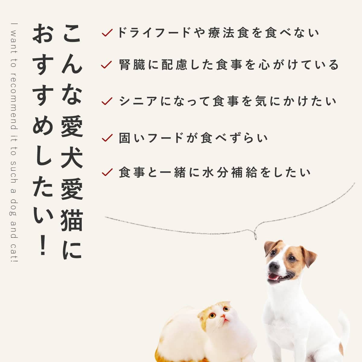 �ڤޤȤ��㤤�ǥ��ޥ��դ��� ���Ԥ��������������륭��٥�18��+3�ĥ��å� �������ء� �ڥϥ���ɥ��࿩Ʋ��