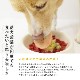�ڤޤȤ��㤤�ǥ��ޥ��դ��� ���Ԥ��������������륭��٥�18��+3�ĥ��å� �������ء� �ڥϥ���ɥ��࿩Ʋ��