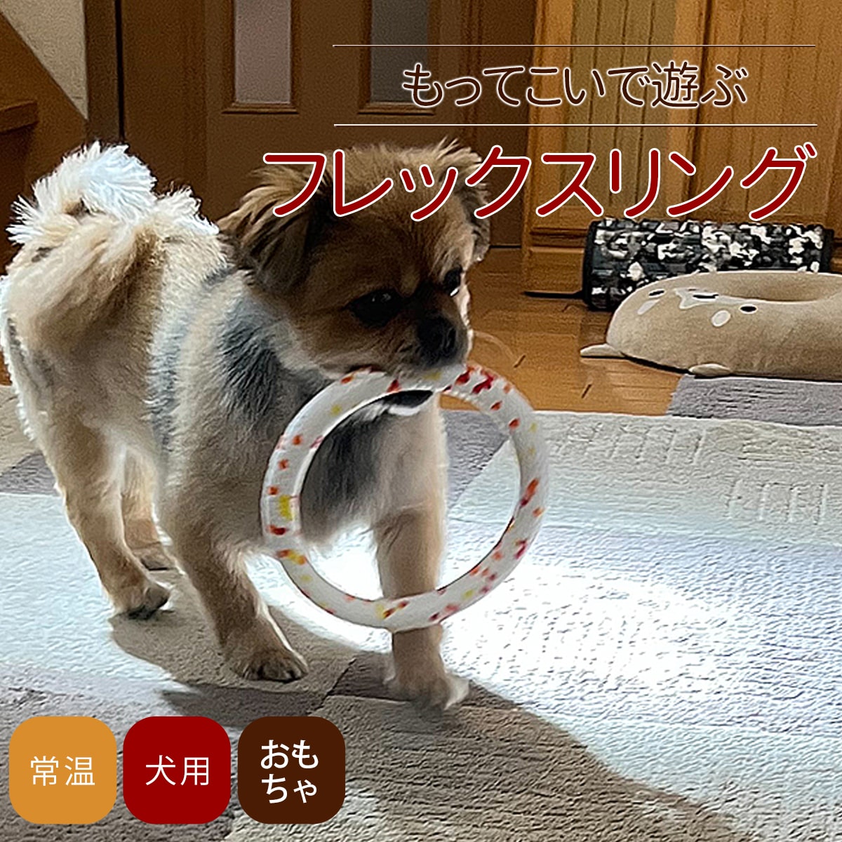 犬用おもちゃ フレックスボール 犬のおもちゃ帝塚山ハウンドカム