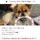 ���Ѥ�����㡡�ե�å������ �ڤ�äƤ���ͷ�ӡ�