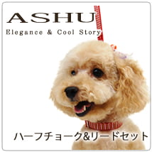 �������ѥϡ��ե��硼����ASHU��STEP�����ƥåס��ϡ��ե��硼�����꡼�ɡ�S���������å�