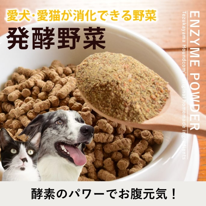 ���� ��ڡù��ǥѥ������ȯ����ڥѥ�������ȯ�ڿ��ʡ�a0036�ۡ����������Ǥ��ޤ��ۡھﲹ/���������ʡ�