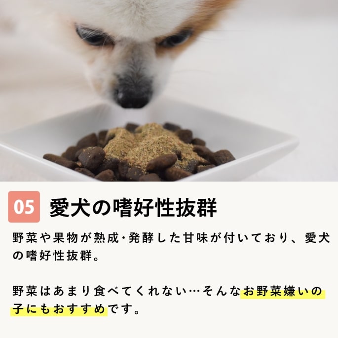 愛犬用野菜パウダー｜酵素パワー元気｜手作り食・ドッグフードの通販
