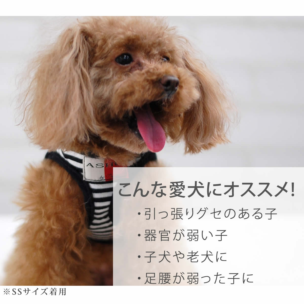 犬 IRIS OHYAMA 犬小屋 ドッグハウス 室外 屋外 中型犬用 ログ 犬舎