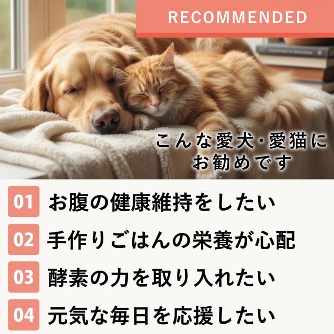 ���� ��ڡù��ǥѥ������ȯ����ڥѥ�������ȯ�ڿ��ʡ�a0036�ۡ����������Ǥ��ޤ��ۡھﲹ/���������ʡ�