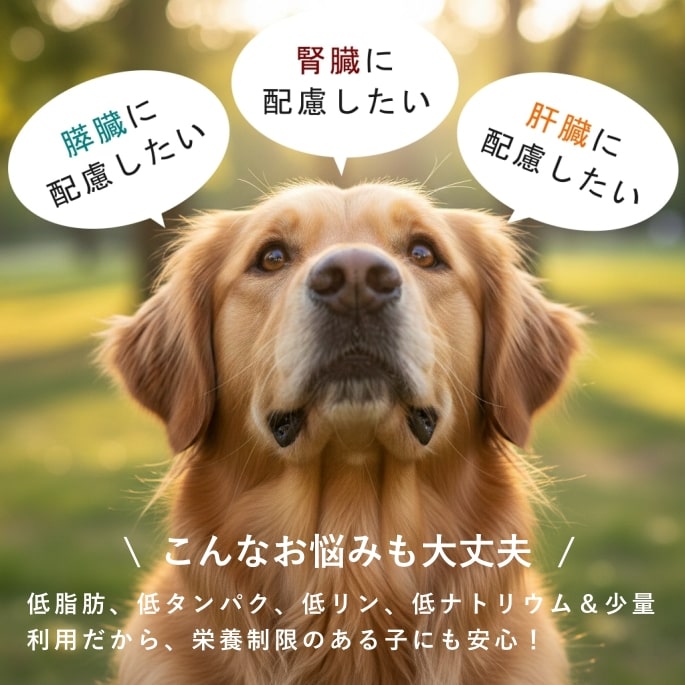 ���� ��ڡù��ǥѥ������ȯ����ڥѥ�������ȯ�ڿ��ʡ�a0036�ۡ����������Ǥ��ޤ��ۡھﲹ/���������ʡ�