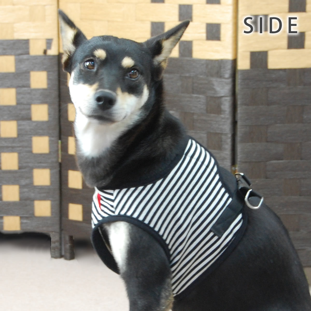 中型犬用ハーネス｜ASHU ウェアハーネス ボーダー XLサイズ