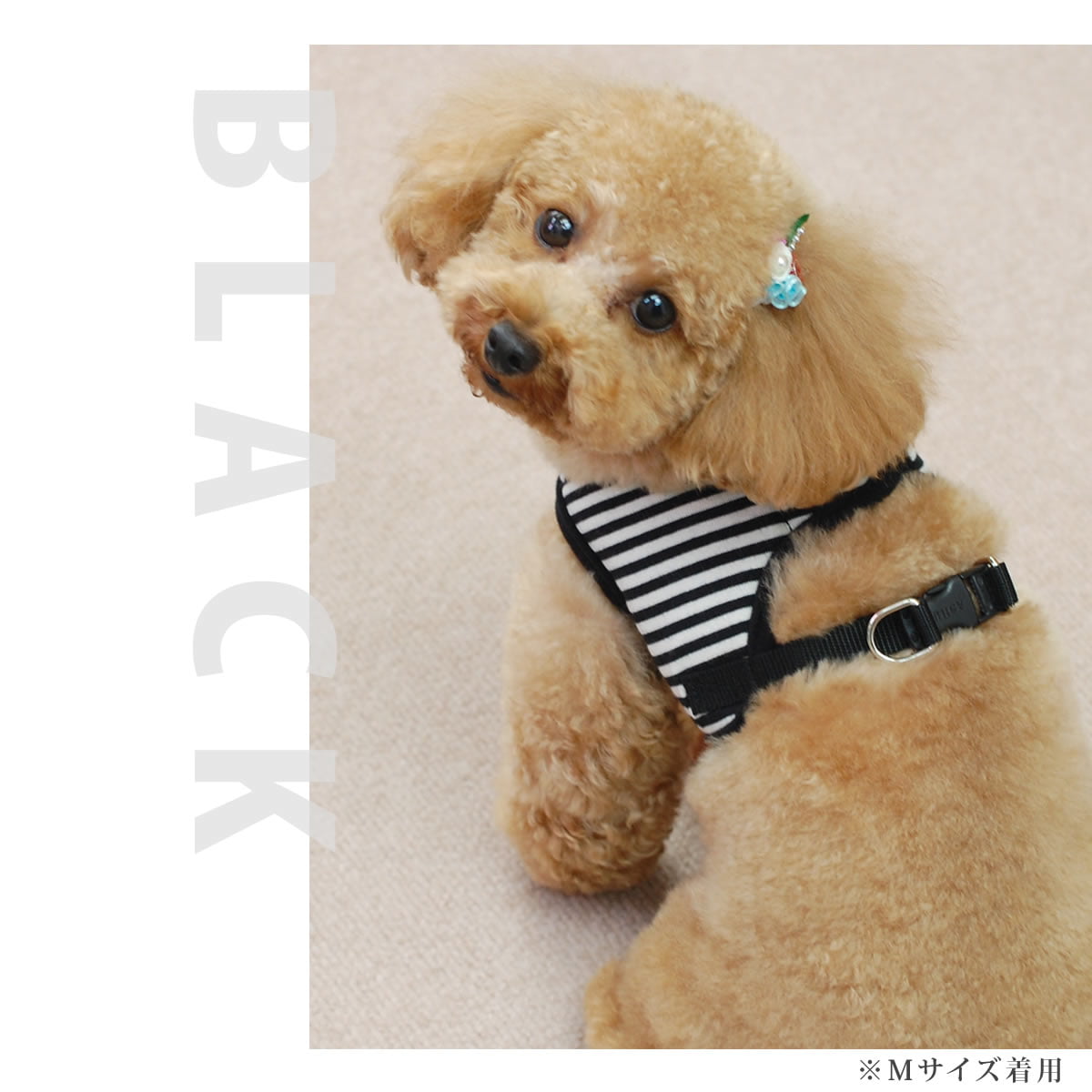 �淿���ѥϡ��ͥ���ASHU���������ϡ��ͥ� �ܡ����� XL�������ڥ꡼�ɤ�������