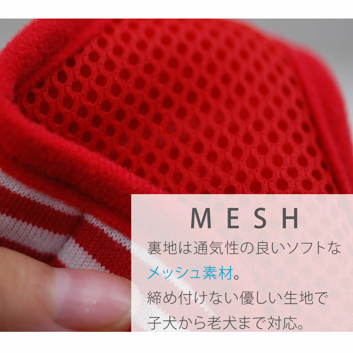 �淿���ѥϡ��ͥ���ASHU���������ϡ��ͥ� �ܡ����� XL�������ڥ꡼�ɤ�������