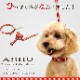 �������ѥϡ��ե��硼����ASHU��STEP�����ƥåס��ϡ��ե��硼�����꡼�ɡ�S���������å�