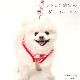 �淿���ѥϡ��ͥ���ASHU���������ϡ��ͥ� �ܡ����� XL�������ڥ꡼�ɤ�������