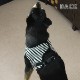 �淿���ѥϡ��ͥ���ASHU���������ϡ��ͥ� �ܡ����� XL�������ڥ꡼�ɤ�������