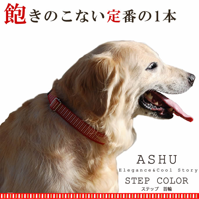大型犬用　首輪・リードセットで★ASHBURY ★ゴールデンレトリバー 大型犬用 首輪・リードセットで☆ASHBURY ☆ゴールデン